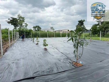 รับเคลียดินตรียมพื้นที่ปลูกต้นไม้ - รับถมดิน นนทบุรี - ดิเรกรับถมดิน